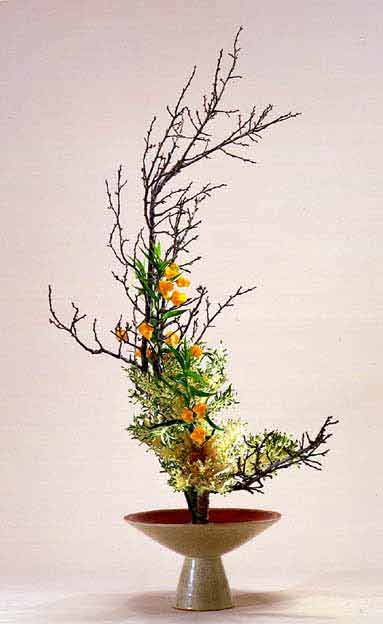 老梅 苔枝 古木 正月飾り 生け花 華道 用 自分が使った花材事典：苔梅 | 新・花の情報局の